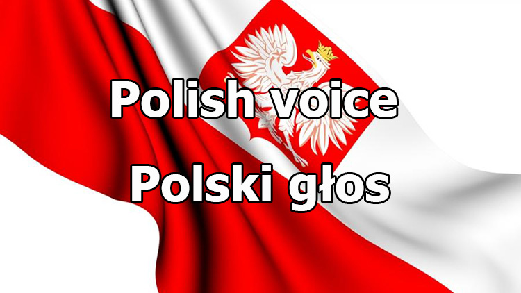 Polish crew voice for World of Tanks 1.24.1.0